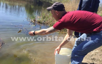 Рыбаки из Покровска и района поддержали экологический баланс реки Волчьей