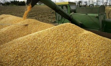 В Тюменской области погиб засыпанный пшеницей рабочий