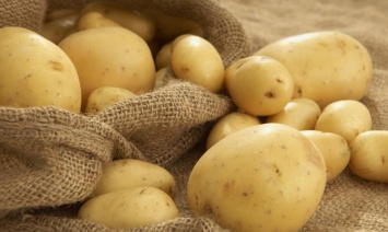 На Днепропетровщине мужчина украл 100 кг картофеля