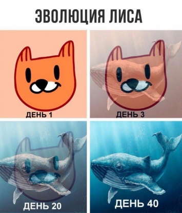 Пользователи "ВКонтакте" сравнили стикеры "Лис" со смертельной игрой "Синий кит"