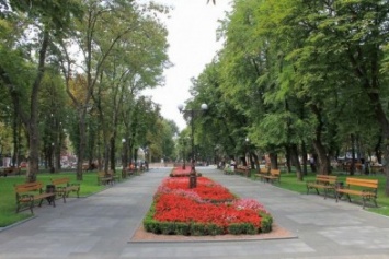 В Кременчуге не в меру хозяйственные граждане обокрали сквер имени Бабаева