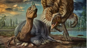 Возвращенные в Китай останки принадлежат неизвестному виду динозавра