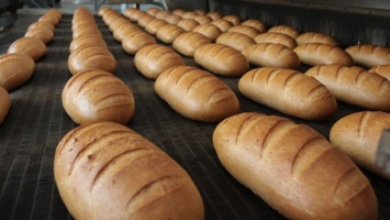 Киевские налоговики выявили "пекарей-нелегалов"