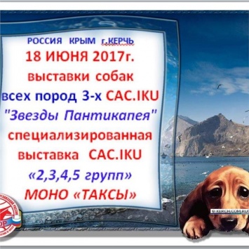 В Керчи готовят летнюю выставку собак