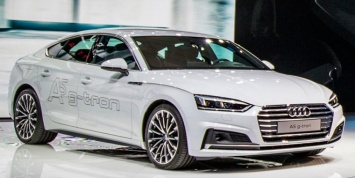 Audi поддерживает дизеля и газовые двигатели