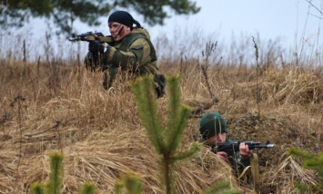 Почти 8 тысяч человек убиты на востоке Украины, - ООН