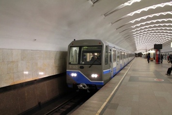 В Москве пенсионер упал под поезд на станции метро "Перово"