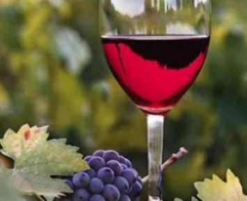 Украина ввела санкции против перерегистрированных согласно российскому законодательству агро и винодельческих госпредприятий в Крыму
