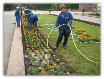 Николаевские флористы украшают город цветочными узорами