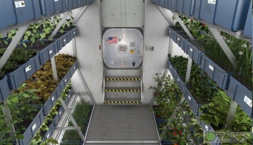 Космонавты МКС вырастили и собрали первый урожай капусты