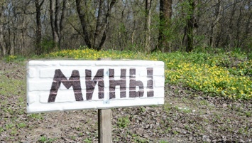Осторожно, мины! Опубликована карта опасных зон Донецкой области