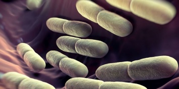У пациентов в клинике США выявили неизвестные супербактерии