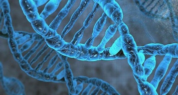 Генетическая память предков может передаваться на протяжении 14 поколений