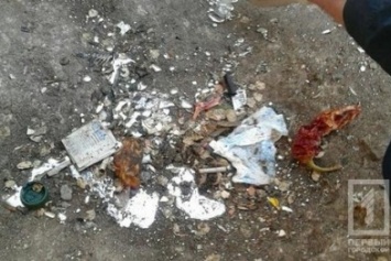 В Кривом Роге возле мусорного бака нашли особо опасное вещество (ФОТО)