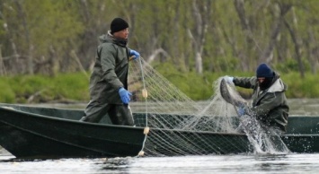 На Сумщине браконьеры незаконно наловили 128 кг рыбы