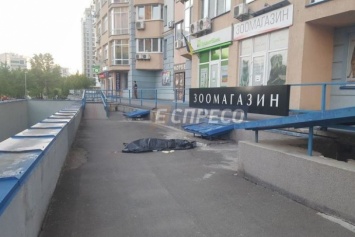 ЧП в Киеве: сержант ВСУ выпал с 11-го этажа