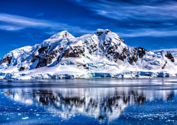 Климатические изменения озеленят Антарктиду - Ученые