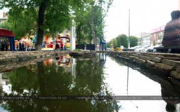 В Павлограде в фонтан запустили золотых рыбок (ВИДЕО)