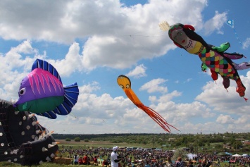 Под Николаевом прошел Международный фестиваль воздушных змеев