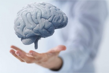 Разработана новая технологию для протезирования мозга