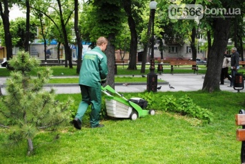 В Кременчуге скошенную траву не выбрасывают (ФОТО)