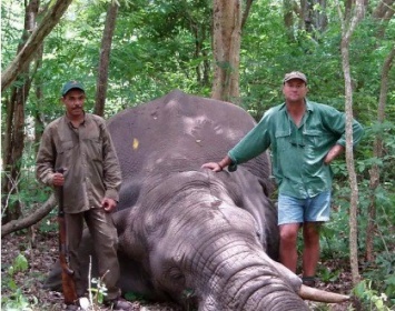 В африканском заповеднике убитый слон раздавил профессионального охотника