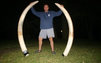 В Зимбабве убитая слониха раздавила профессионального охотника