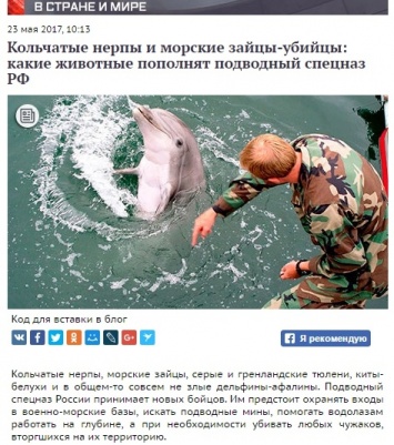 Морские зайцы-убийцы пополнят подводный спецназ РФ: соцсети в истерике. Фотофакт