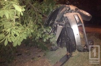 Жуткая авария в Кривом Роге: легковушка снесла дерево, водитель в коме