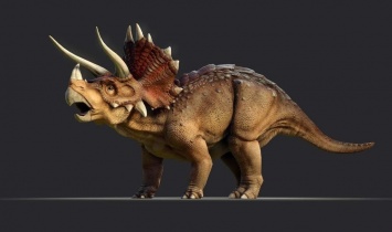 Археологи в США обнаружили зуб динозавра трицератопса