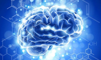 Ученые: Электростимуляция для здорового мозга бесполезна