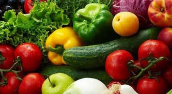 Студенты из ДВФУ нашли способ повышения урожайности овощей