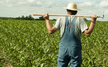 Земельная реформа позволит малому и среднему фермерскому бизнесу покупать землю на льготных условиях, - эксперт