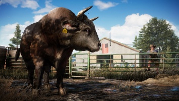 Официальный анонс Far Cry 5 - дата выхода, детали сюжета и геймплея