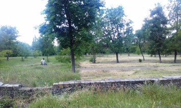 Херсонский парк после "Сладкого Бума" на 50% в порядке (фото)