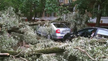 Ураган в Москве привел к жертвам