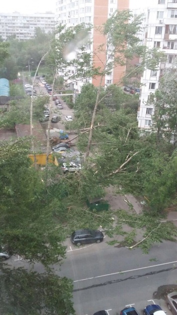 Из-за урагана в Москве погибли шесть человек