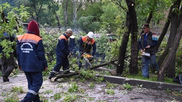 Ураган в Москве: сотни поваленных деревьев, сбои в метро, 11 погибших