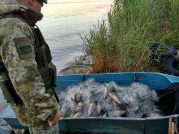 Одесские пограничники задержали на Днестровском лимане браконьера с сетями и рыбой