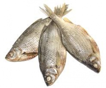 В Киеве введен временный запрет на продажу вяленой рыбы в связи с ботулизмом