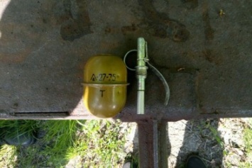 Благодаря сознательному человеку, в Авдеевке полицейские изъяли спрятанную боевую гранату