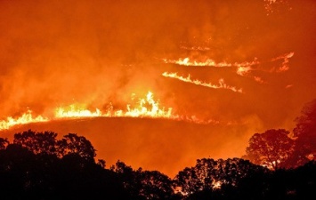 Калифорния: Пожарные не могут справиться с обширными лесными пожарами