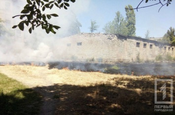 Возле школы в Покровском районе горел сухостой