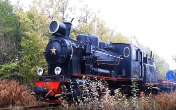 В Закарпатье запустят движение по узкоколейке с немецким паровозом послевоенного выпуска