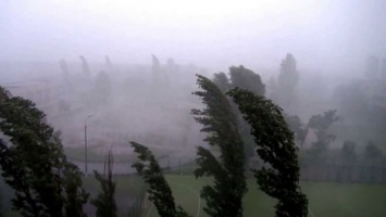 Ураган: в Запорожской области летали кусты (Видео)