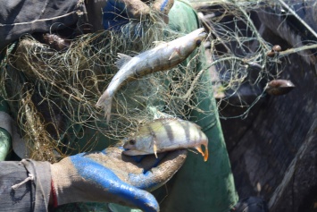 На Запорожском водохранилище задержали браконьера с уловом