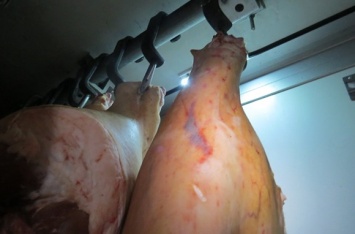 Более 18 тонн некачественной украинской свинины не пустили в Крым (ФОТО)