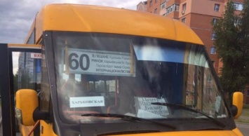 Сумчане разбили маршрутку: водитель не захотел их везти по «три» (фото)