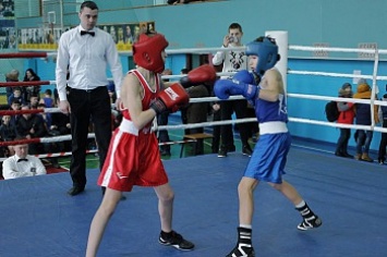 Бердянские боксеры приняли участие в двух турнирах