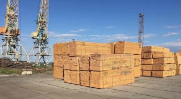 Сумская налоговая милиция предотвратила экспорт лесоматериалов на полмиллиона гривен (+фото)